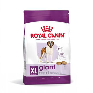 Royal Canin Giant Adult pienso para perros